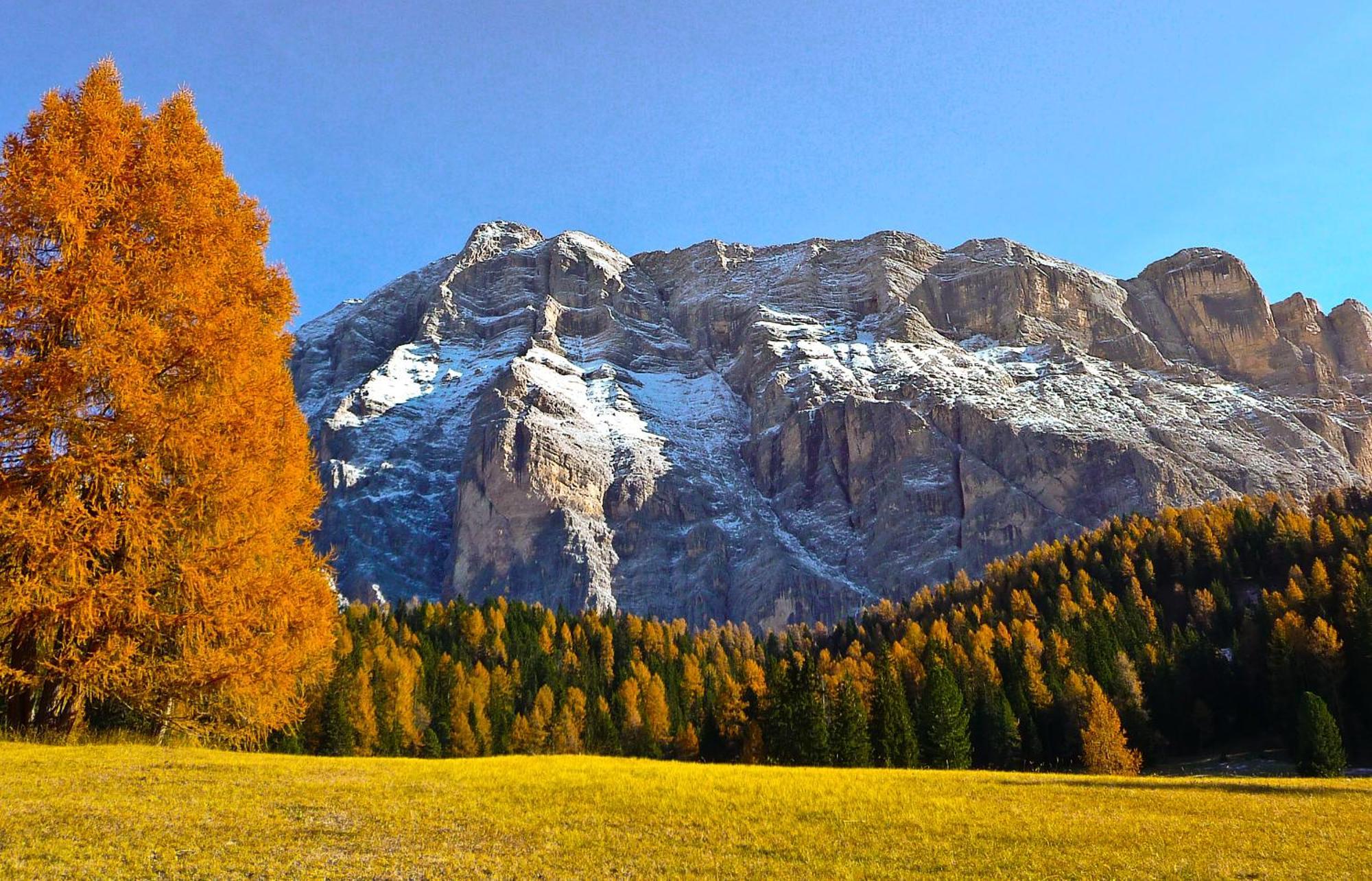 Apartment Ciasa Laoi San Cassiano  Buitenkant foto