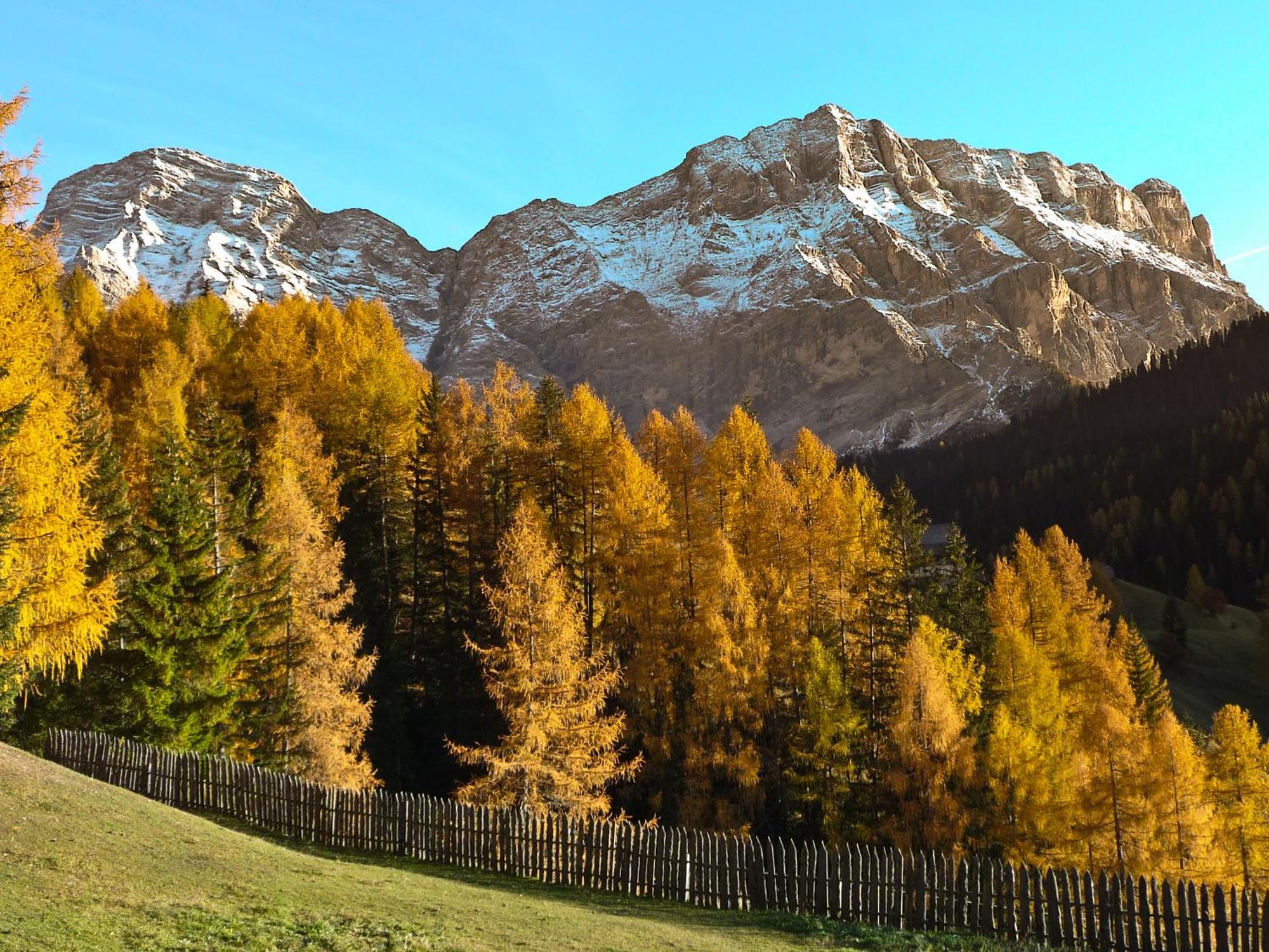 Apartment Ciasa Laoi San Cassiano  Buitenkant foto